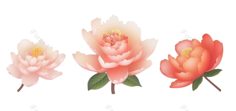 叶子图片,装饰元素,元素PNG,花纹免抠素材